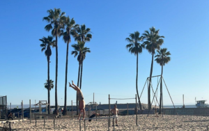 Healthy on a Budget: No Gym Required